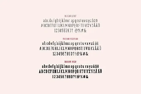 Farsan Slab Serif font