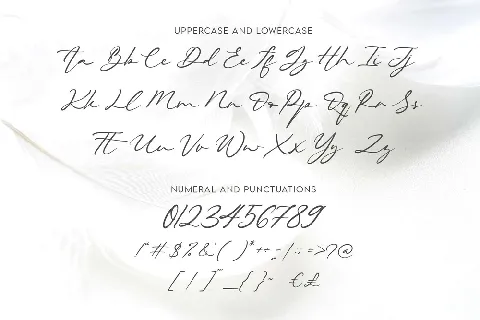 Beautiella font