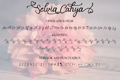 Selvia Cahya font