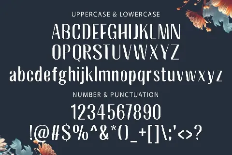 BAGREK DISPLAY font