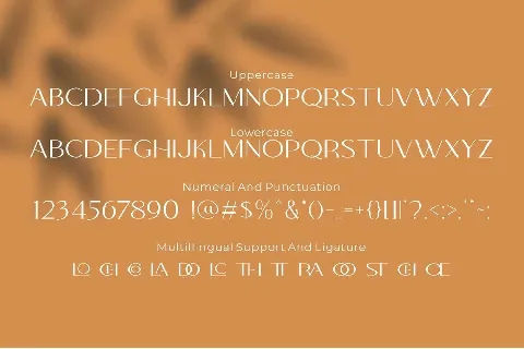 Colabero font