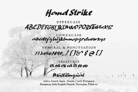 Hand Strike Demo font