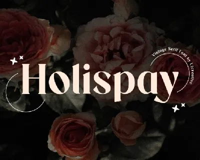 Holispay font