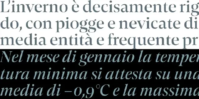 Contane Family font