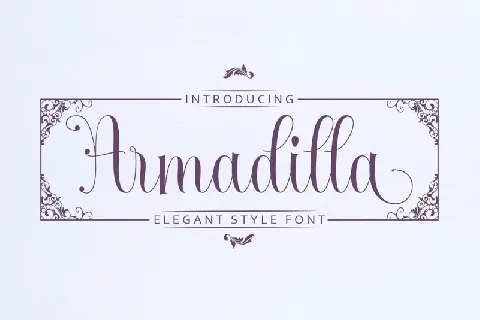 Armadilla Script font