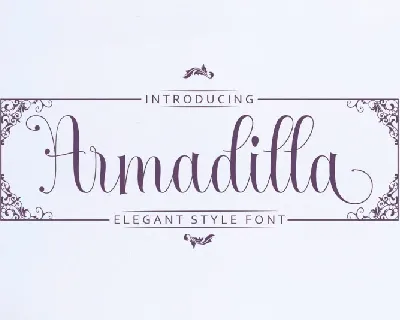 Armadilla Script font