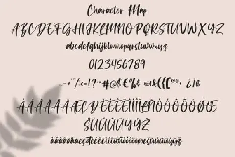 Giovanetta Script font