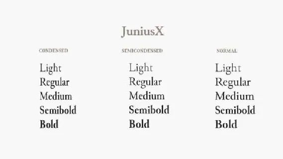 JuniusX Serif Family font