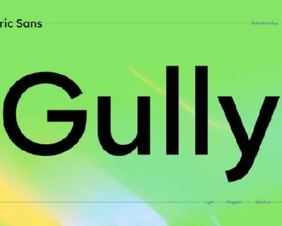 Gully Sans Family font