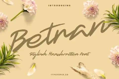 Betran Script font