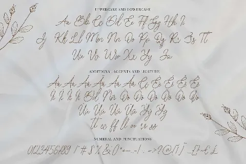 Bearetta font