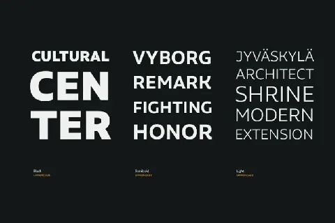 Aalto Sans Family font