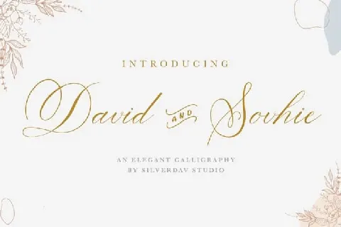 David And Sovhie Calligraphy font