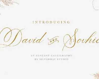 David And Sovhie Calligraphy font