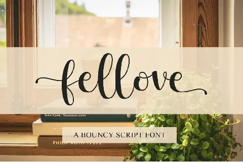 Fellove - Personal use font