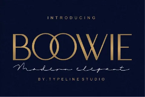 Boowie Sans Serif font