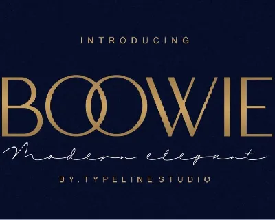 Boowie Sans Serif font