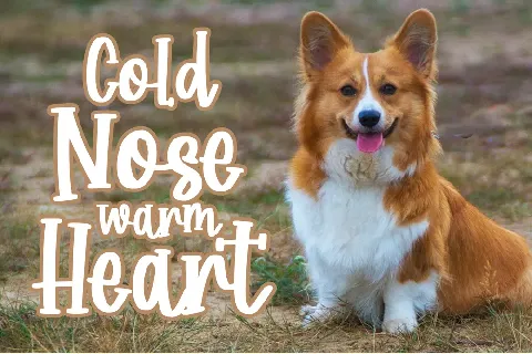 Corgy Puppy font