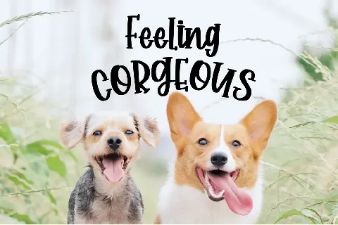 Corgy Puppy font