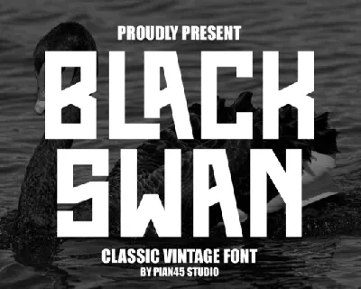 Black Swan font