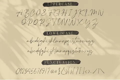 Plumrose Signature font