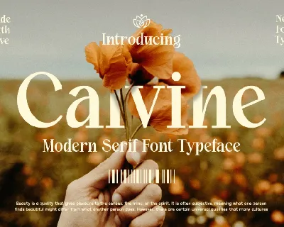 Calvine font