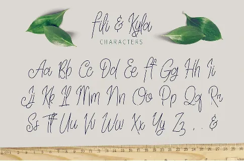Fili & Kyla Script Free font