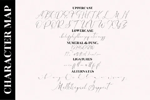 Pattricia Michella font