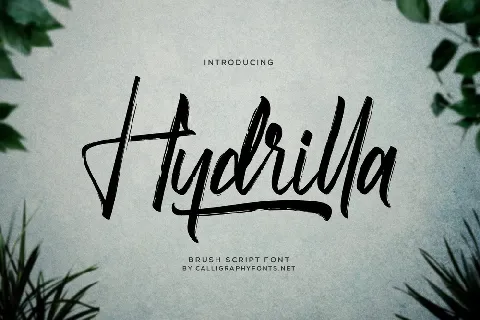 Hydrilla font