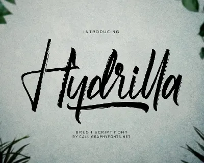 Hydrilla font