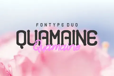 Quamaine Duo font