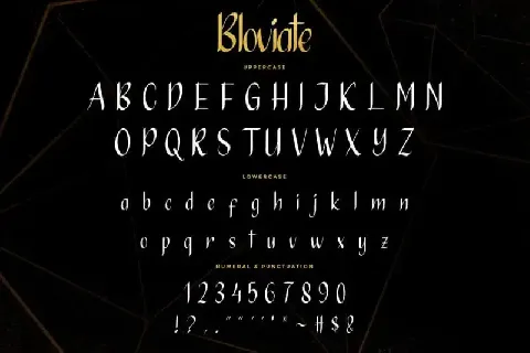 Bloviate Simple Display font