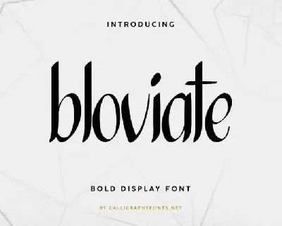 Bloviate Simple Display font