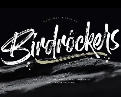 Birdrockers Brush font