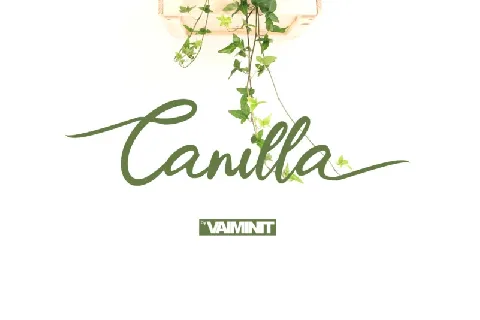 Canilla Script font