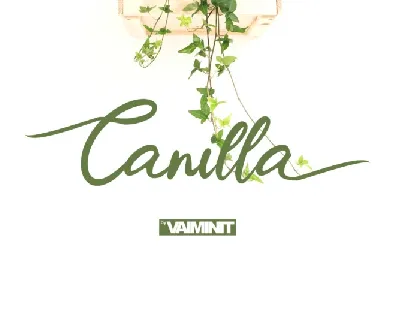 Canilla Script font