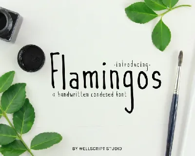 Flamingos Handwritten font