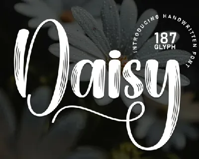 Daisy Display font