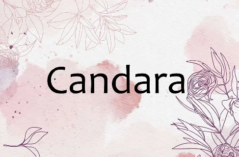 Candara font