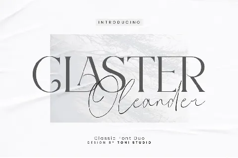 Claster Oleander font