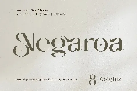 Negaroa Serif font