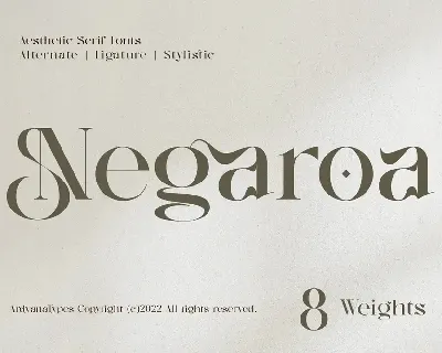 Negaroa Serif font