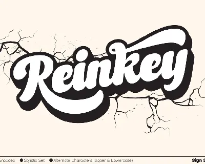 Reinkey font