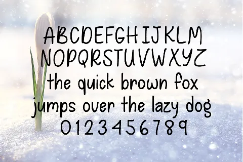 Spring Snowstorm font