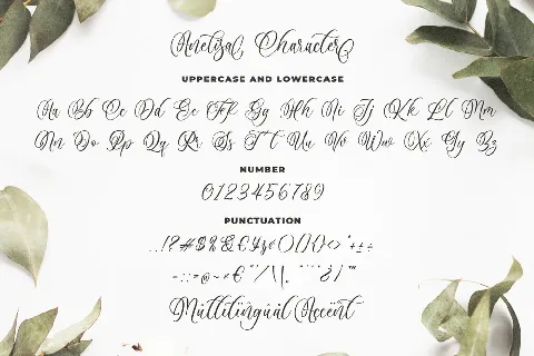 Anelisa font