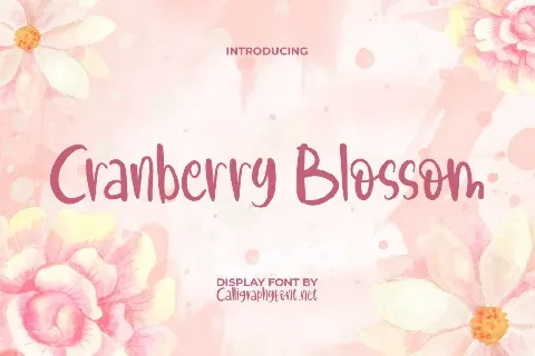 Cranberry B Demo font