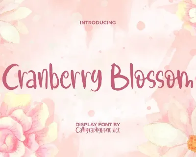 Cranberry B Demo font