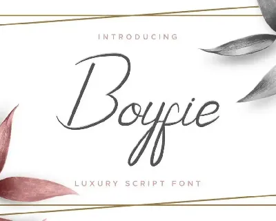 Boyfie Demo font