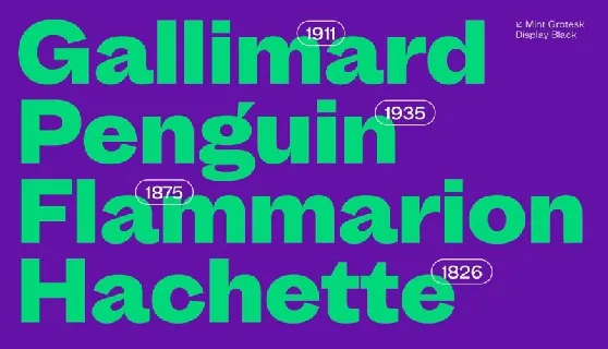 Mint Grotesk Family font