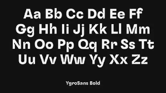 Ygro Sans Serif Family font